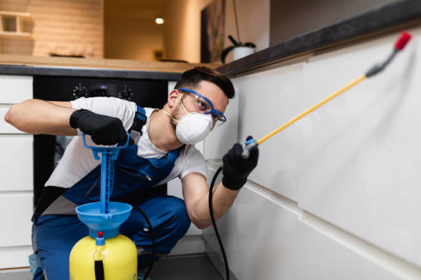 Professional Pest Control in Seven Oaks, SC