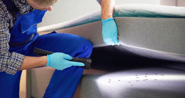 Best Pest Inspection Near Me  in Seven Oaks, SC