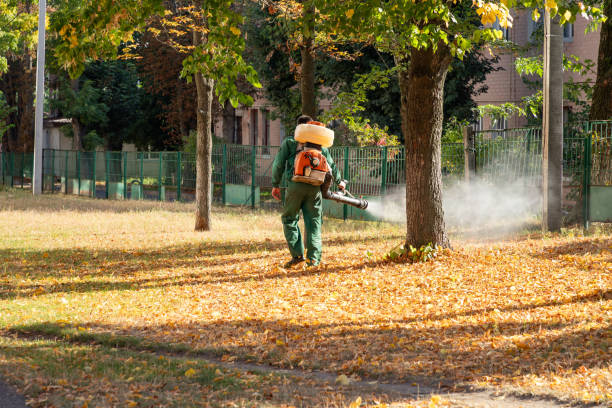 Best Affordable Pest Control Services  in Seven Oaks, SC