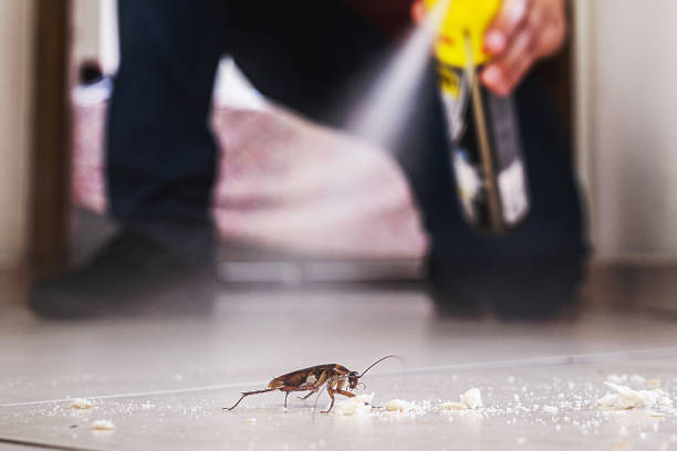 Best Wildlife Control Services  in Seven Oaks, SC